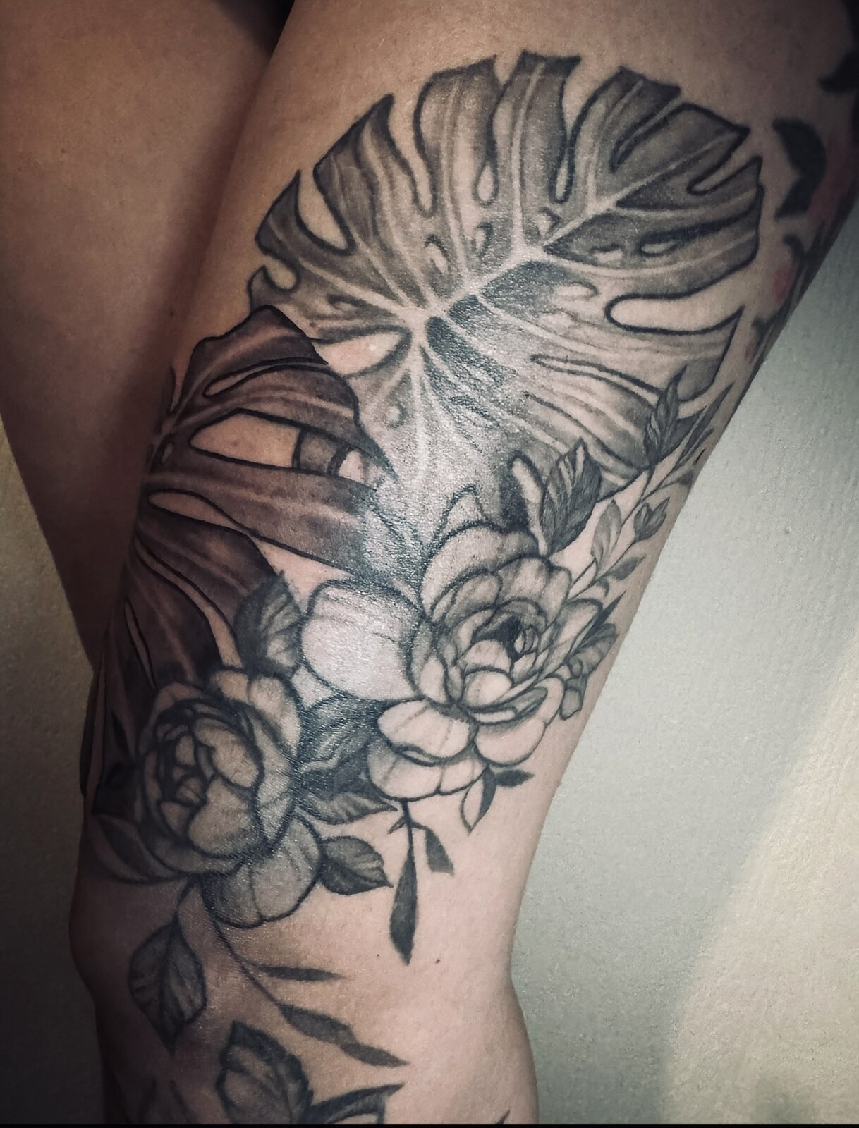Monstera lapas un ziedi uz augšstilba